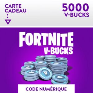 Cartes 5000 V-bucks